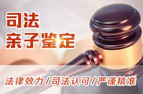 崇左司法亲子鉴定流程,崇左司法DNA亲子鉴定怎么做